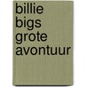 Billie Bigs grote avontuur by R. Sherwood Gordon