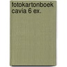 Fotokartonboek cavia 6 ex. door Onbekend
