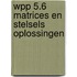 Wpp 5.6 matrices en stelsels oplossingen