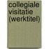 Collegiale visitatie (werktitel)