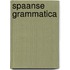 Spaanse grammatica