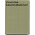 Claviculae basivocabularium