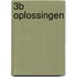 3B Oplossingen