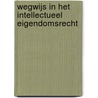Wegwijs in het intellectueel eigendomsrecht by Unknown