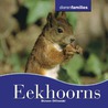 Eekhoorns door Steven Otfinofski