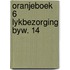 Oranjeboek 6 lykbezorging byw. 14