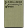 Gemeentebeleid 3 gemeentelyke opdracht by Leboutte
