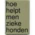 Hoe helpt men zieke honden