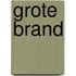 Grote brand