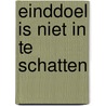 Einddoel is niet in te schatten by Unknown