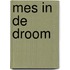 Mes in de droom