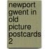 Newport gwent in old picture postcards 2