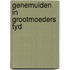 Genemuiden in grootmoeders tyd