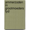 Ammerzoden in grootmoeders tyd by Michel van der Plas