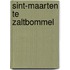 Sint-maarten te zaltbommel