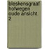 Bleskensgraaf hofwegen oude ansicht. 2