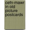 Cefn-mawr in old picture postcards by Iii Edwards