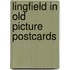 Lingfield in old picture postcards