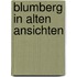 Blumberg in alten ansichten
