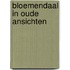 Bloemendaal in oude ansichten