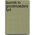 Bunnik in grootmoeders tyd