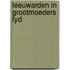 Leeuwarden in grootmoeders tyd