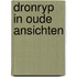 Dronryp in oude ansichten