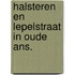 Halsteren en lepelstraat in oude ans.