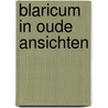 Blaricum in oude ansichten by J.W.M. Kok