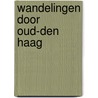 Wandelingen door oud-den haag door Schwencke