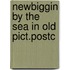 Newbiggin by the sea in old pict.postc