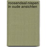 Roosendaal-nispen in oude ansichten by Zandbergen