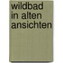 Wildbad in alten ansichten