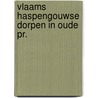 Vlaams haspengouwse dorpen in oude pr. door Massin