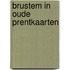 Brustem in oude prentkaarten