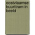 Oostvlaamse buurttram in beeld