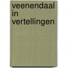 Veenendaal in vertellingen by Valkenburg