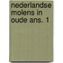 Nederlandse molens in oude ans. 1
