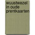 Wuustwezel in oude prentkaarten