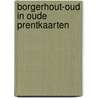 Borgerhout-oud in oude prentkaarten door Nonneman