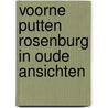 Voorne Putten Rosenburg in oude ansichten by Janke Klok