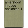 Amersfoort in oude ansichten 1 door Neut