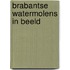 Brabantse watermolens in beeld