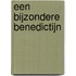 Een bijzondere benedictijn