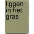Liggen in het gras