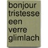 Bonjour tristesse een verre glimlach