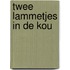Twee lammetjes in de kou