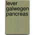 Lever galwegen pancreas