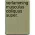 Verlamming musculus obliquus super.