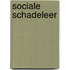 Sociale schadeleer
